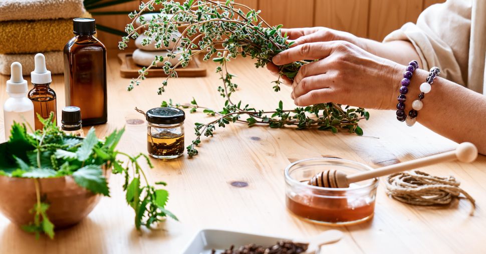 Quelles sont les plantes qui vont vous aider à surmonter l’hiver ?