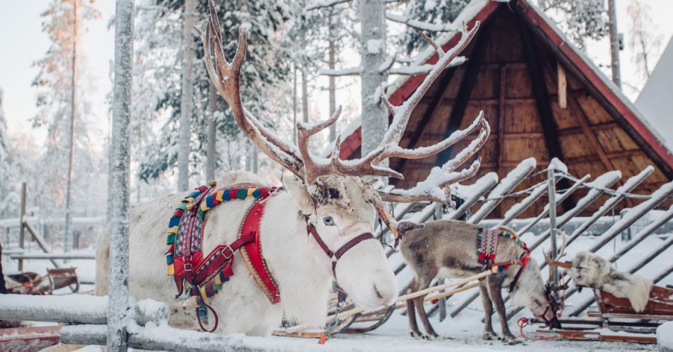 Comment voyager gratuitement jusqu’au pays du Père Noël ?