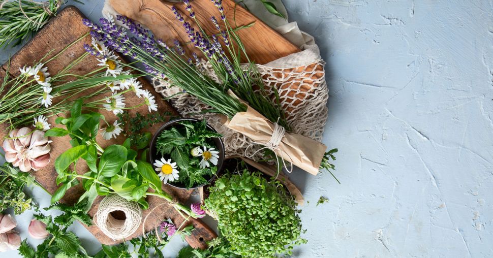 5 plantes aromatiques aux grands bienfaits sur la santé