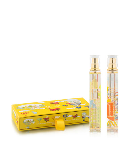 Set de deux parfums d'ambiances