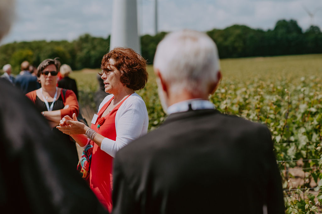 Visite guidée de vignoble