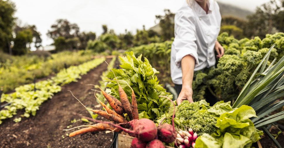 Découvrez les délices du terroir wallon lors des journées fermes ouvertes 