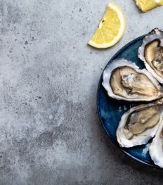 Bruxelles : les meilleurs spots où déguster un plateau de fruits de mer