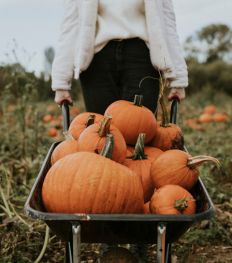 Halloween : 3 idées pour tout utiliser du potiron