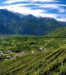 Lombardie : sur les chemins gourmands de la région