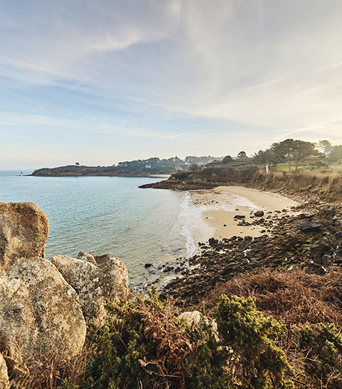 A la découverte de la Bretagne, terre de légendes gourmandes