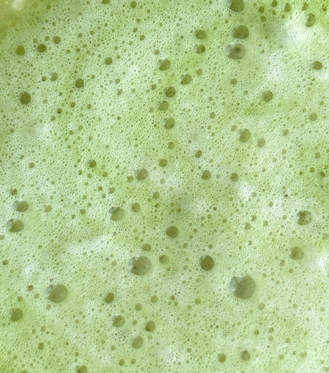 Le matcha en cosmétique : pourquoi il obsède les fans de skincare ?