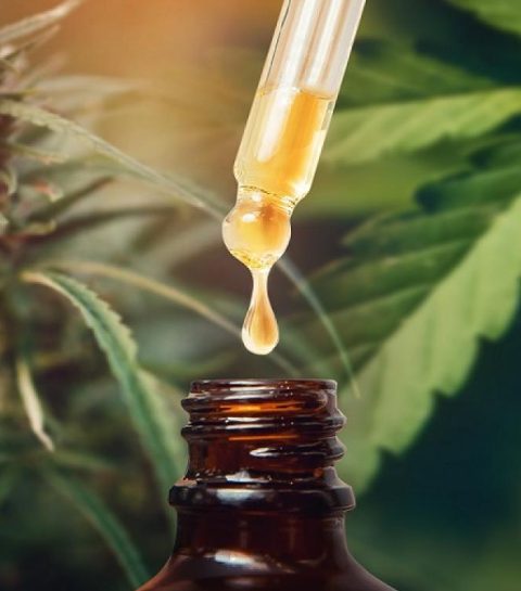 CBD en Belgique : pourquoi ce pays devient-il un grand marché pour le bien-être naturel ?