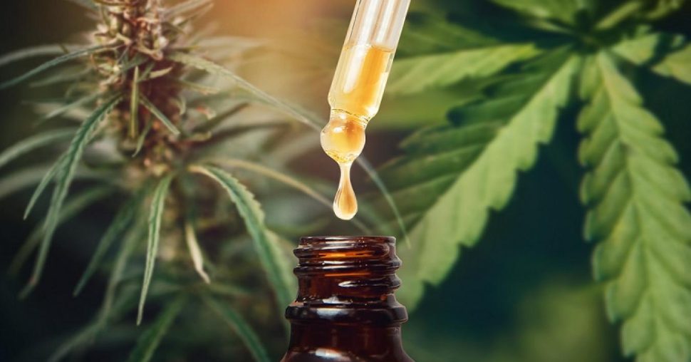 CBD en Belgique : pourquoi ce pays devient-il un grand marché pour le bien-être naturel ?