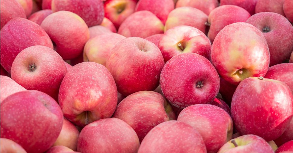 De blozende Pink Lady, een appel met groene waarden