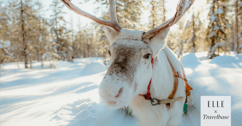 Lapland de perfecte combinatie van rust en actief genieten