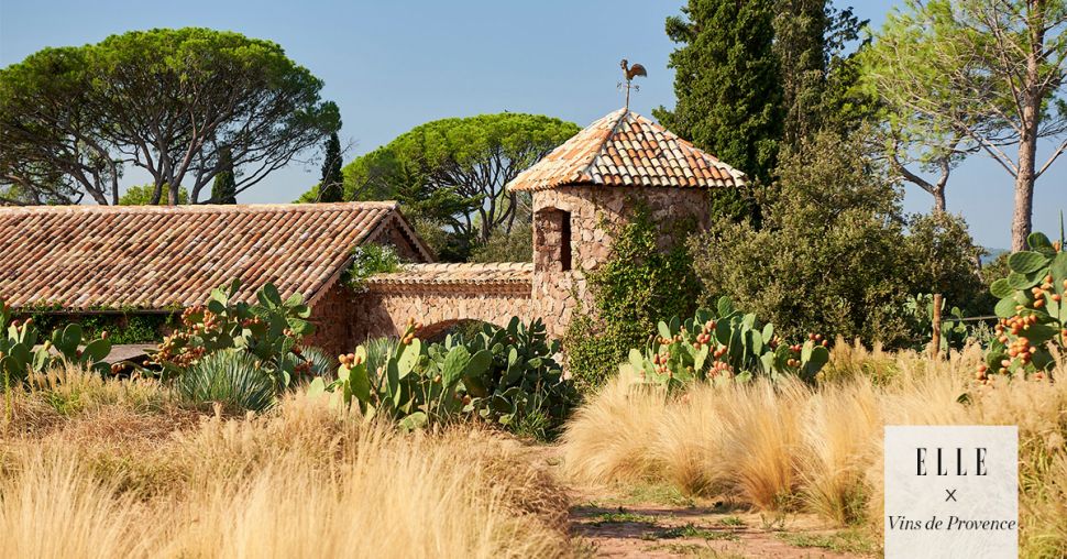 Ontdek wijn uit de Provence eens op een andere manier