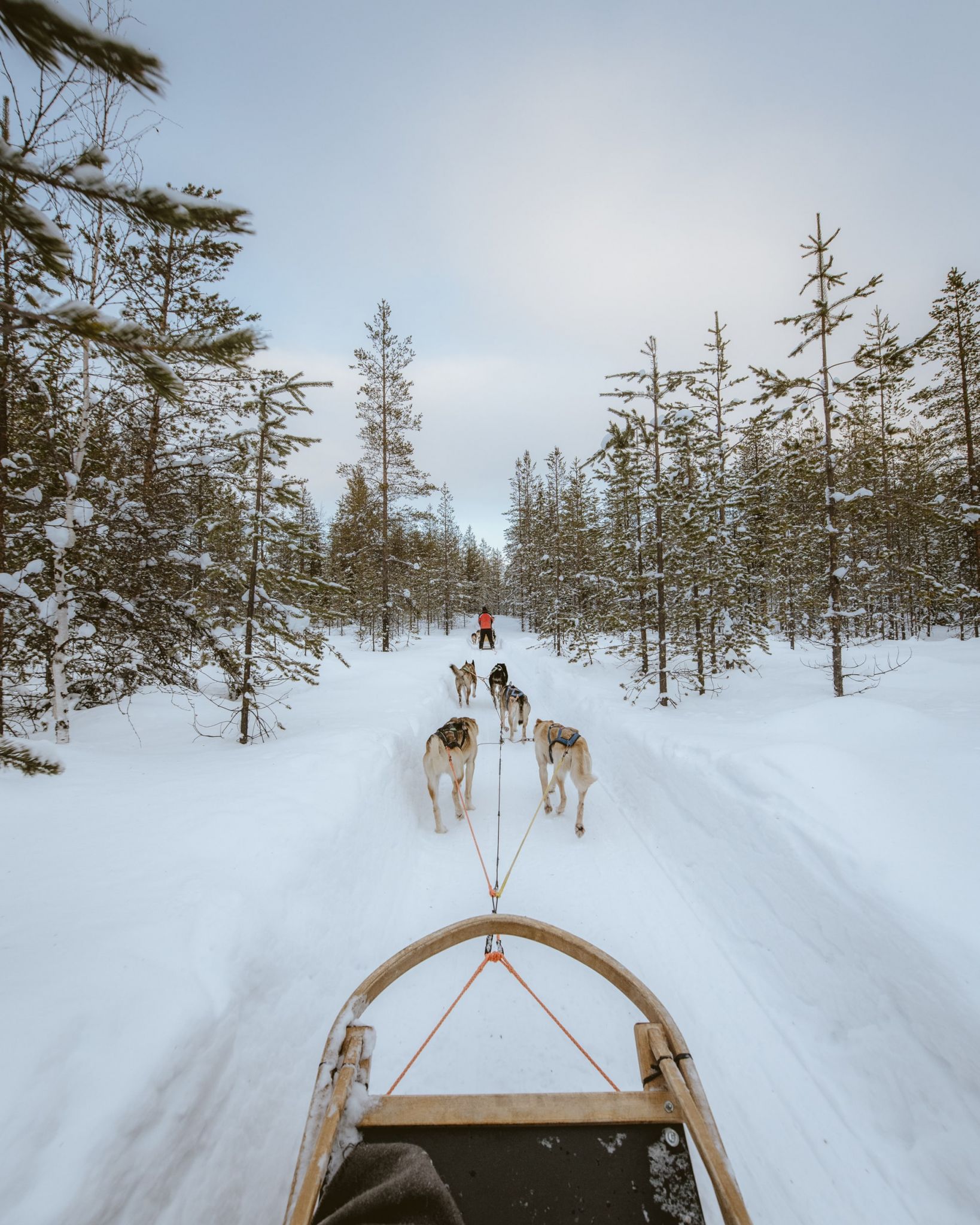 Lapland