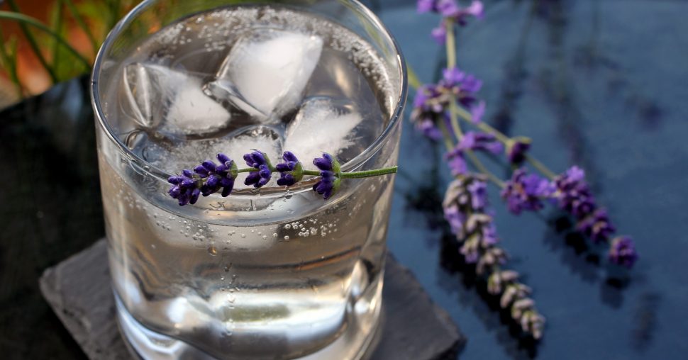 ELLE hotspot: 3 bars om Gin Tonic te drinken