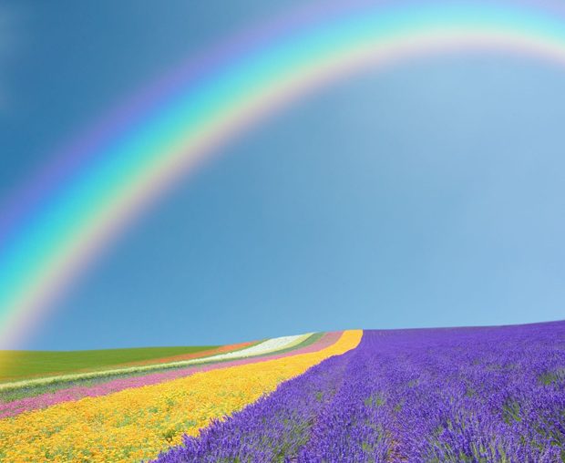 SHOPPING: nagellak in alle kleuren van de regenboog