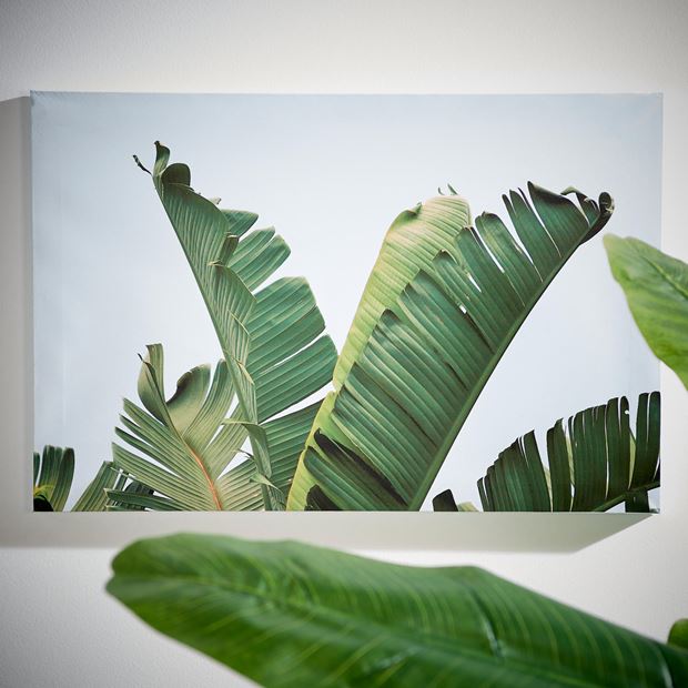 casa_palm_canvas