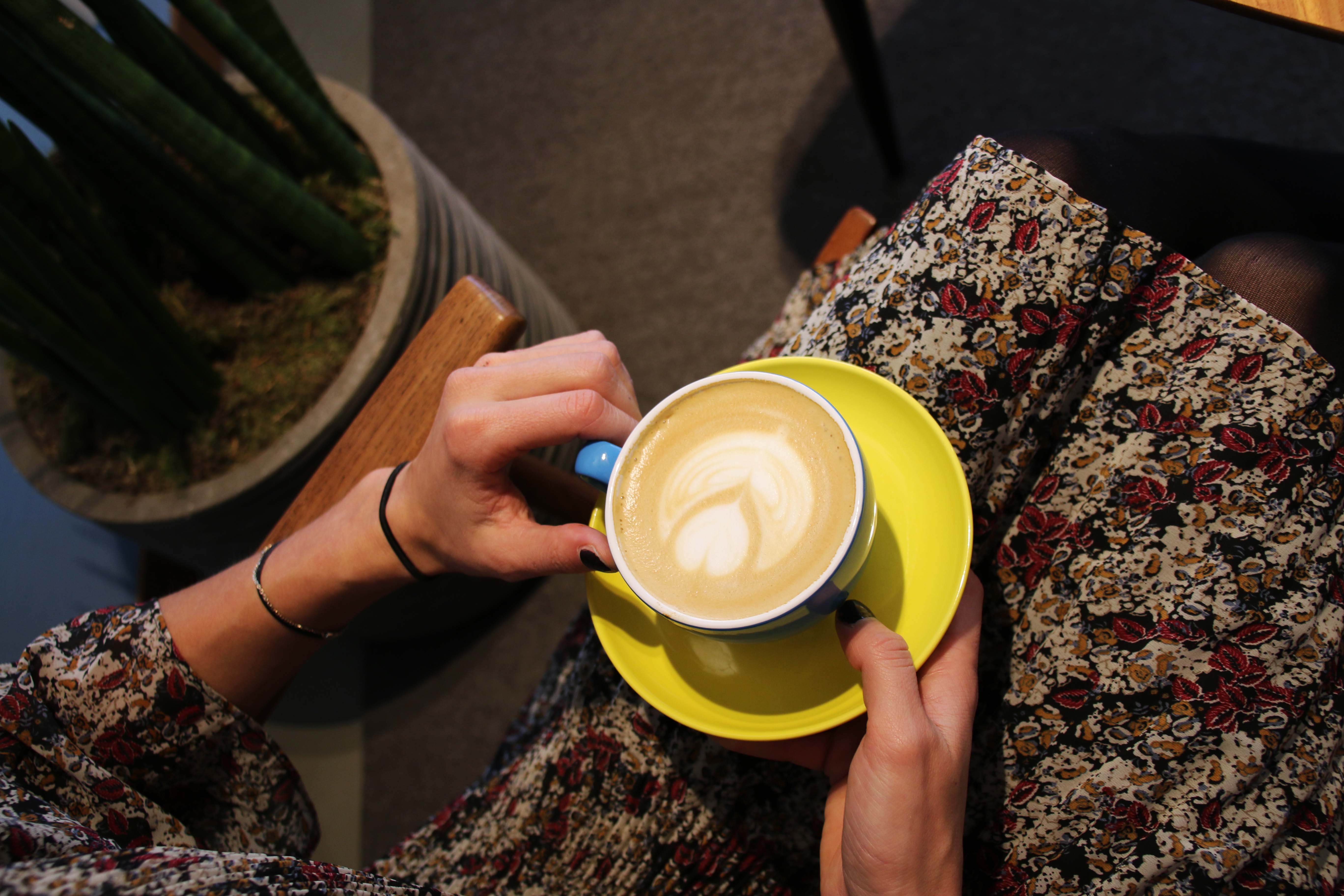 knapste barista's vlaanderen