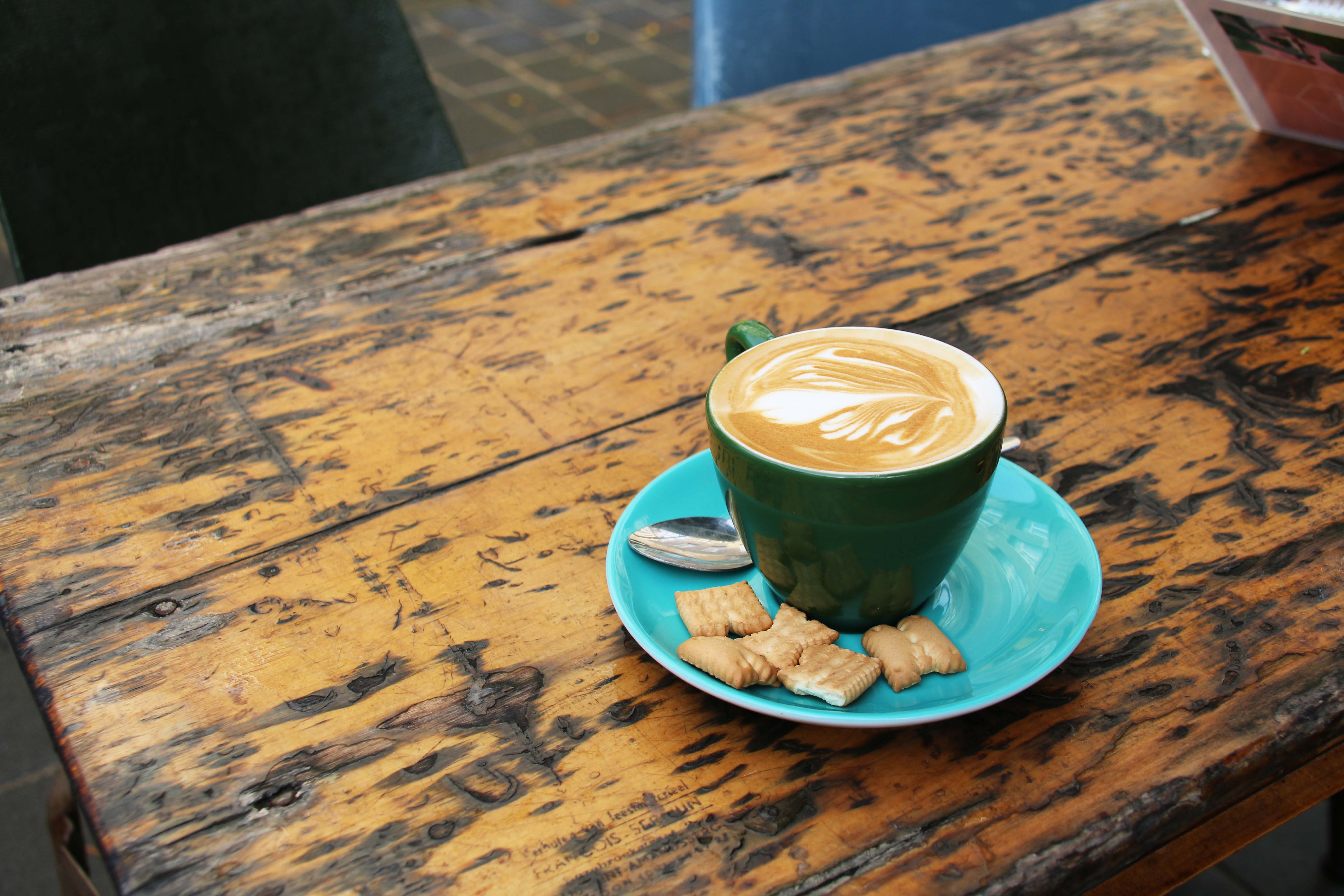 knapste barista's vlaanderen