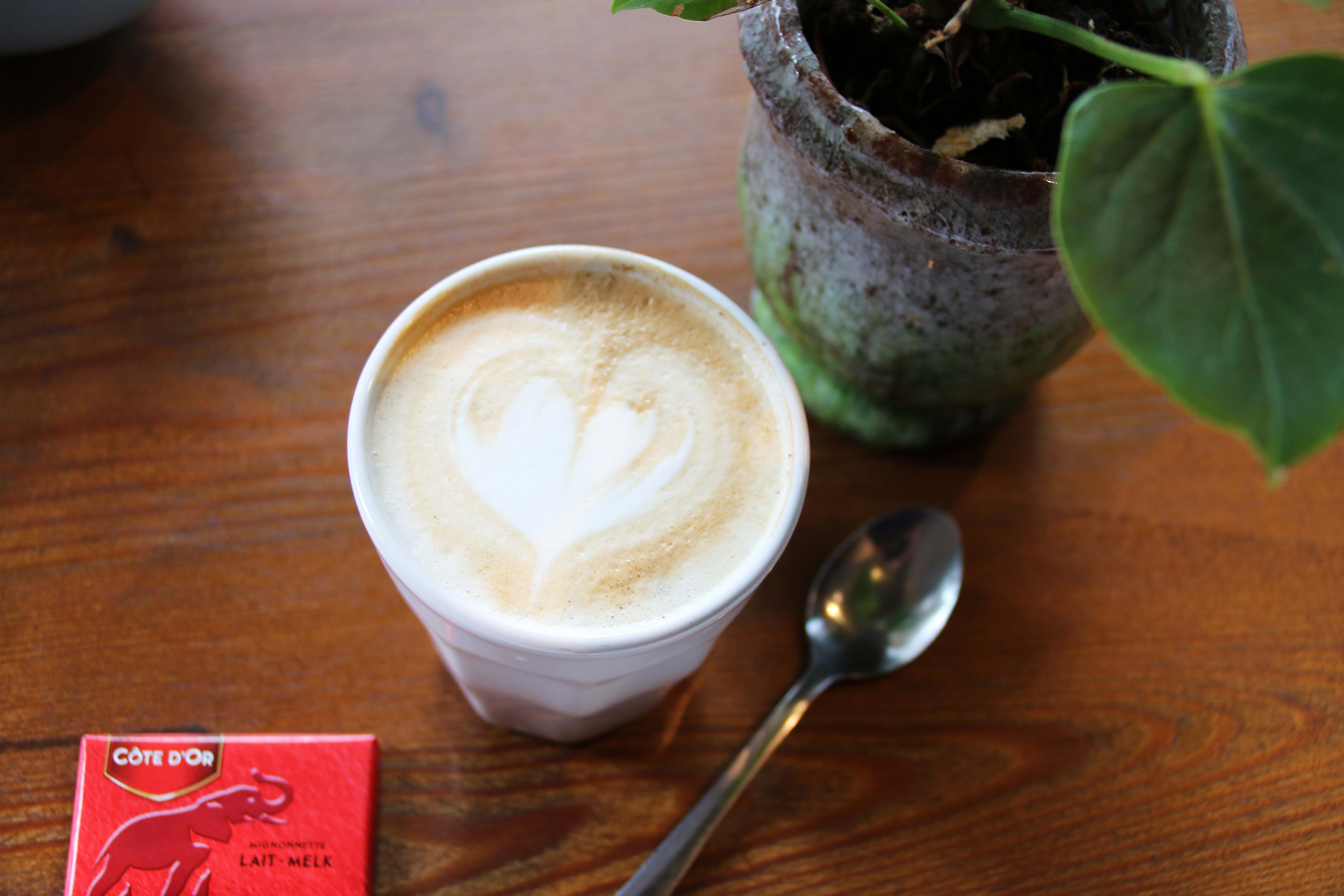 knapste barista's vlaanderen