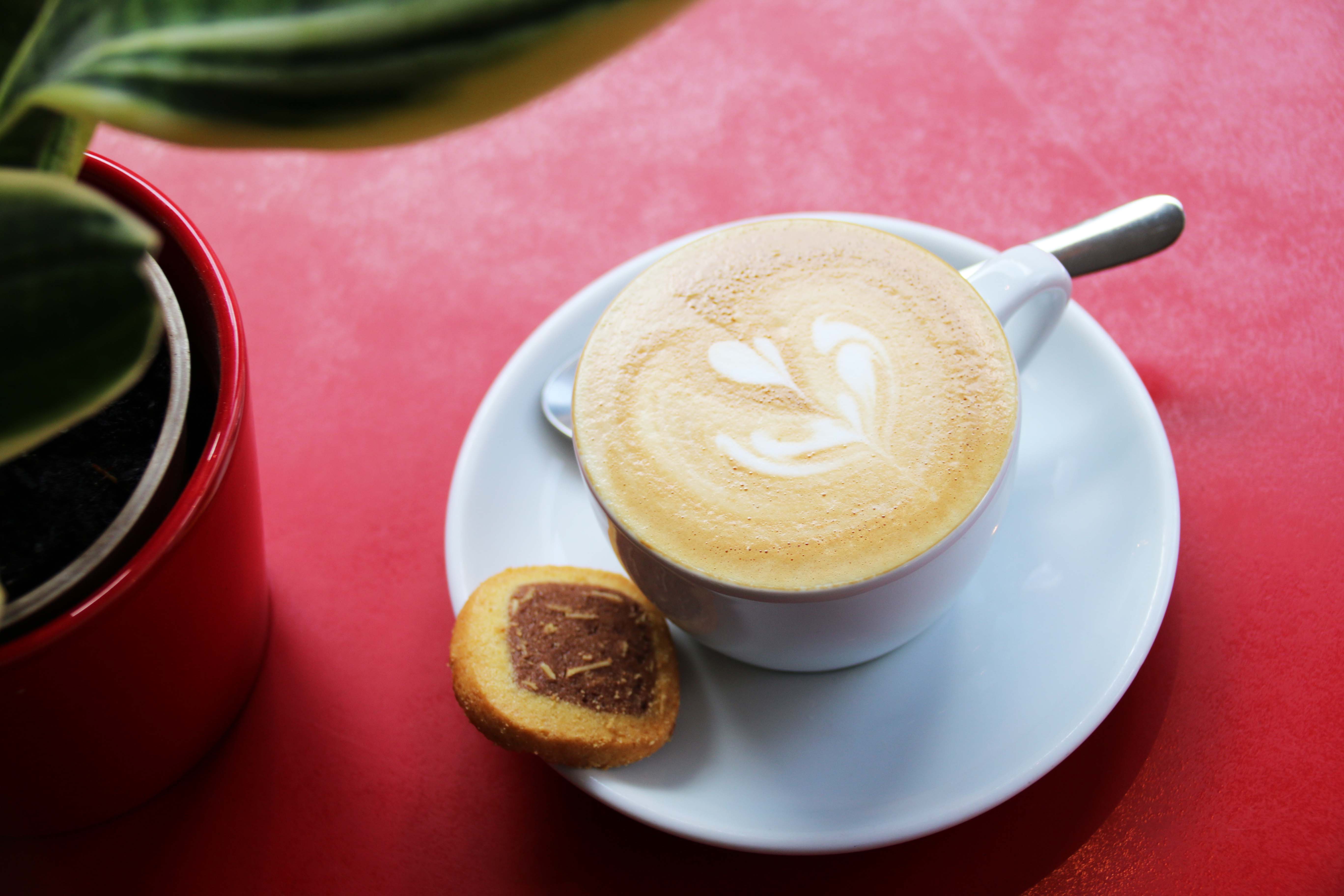 knapste barista's vlaanderen