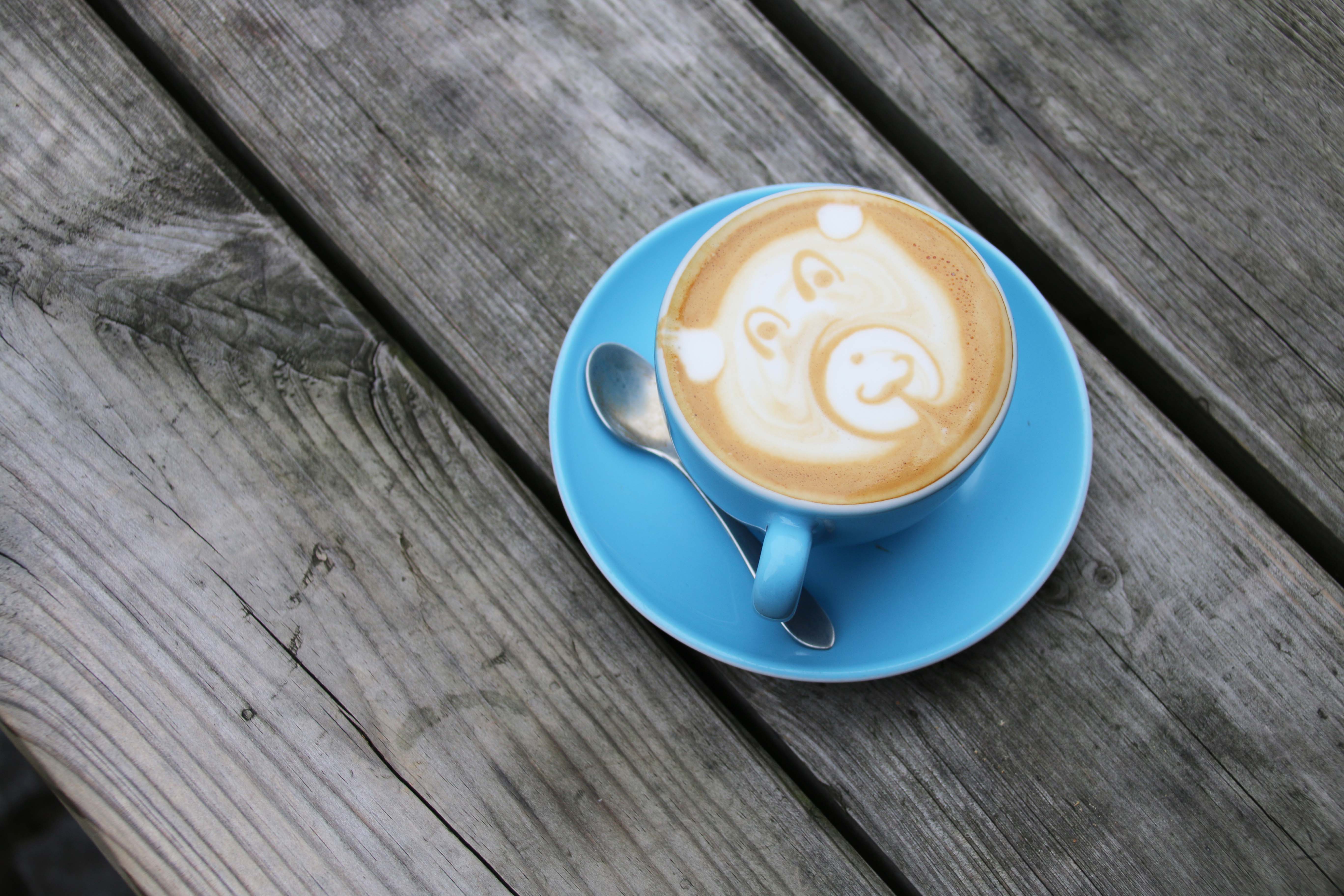 knapste barista's vlaanderen