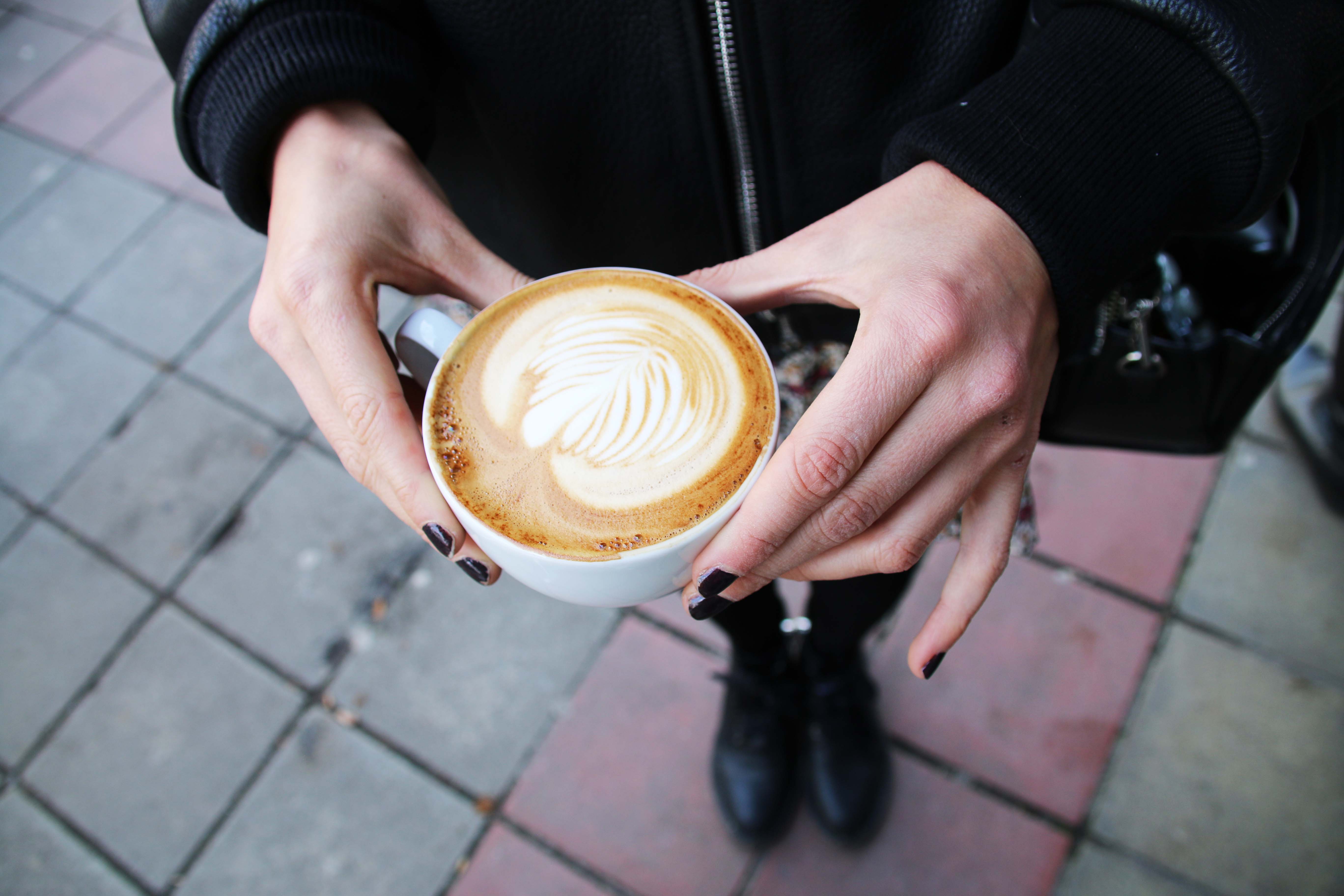 knapste barista's vlaanderen