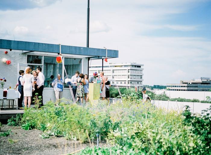 dakterrassen rotterdam