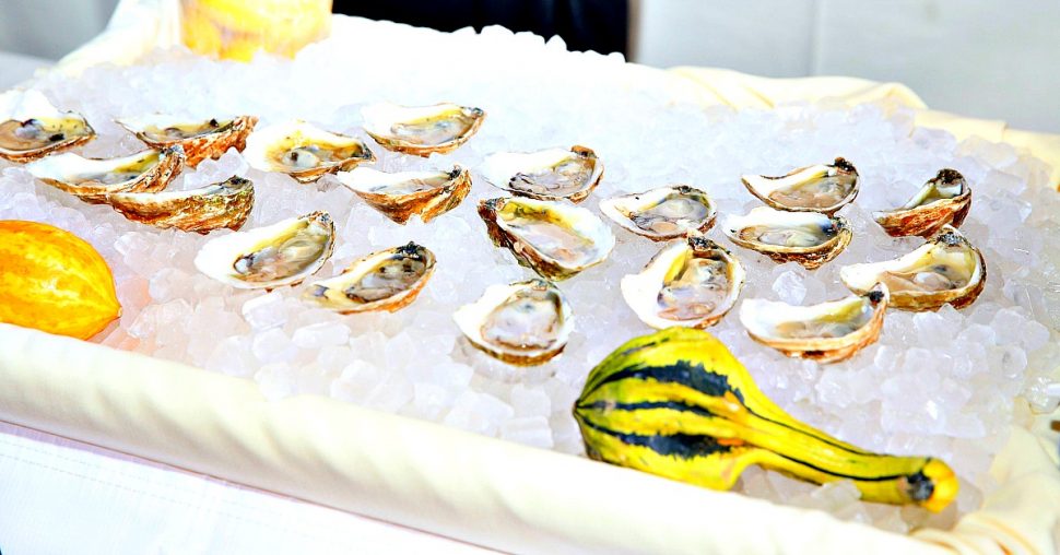 Trending: zelf verse oesters plukken