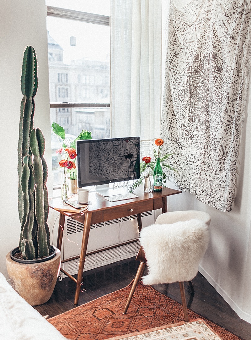 cactussen_inspiratie_interieur_planten_pinspiration