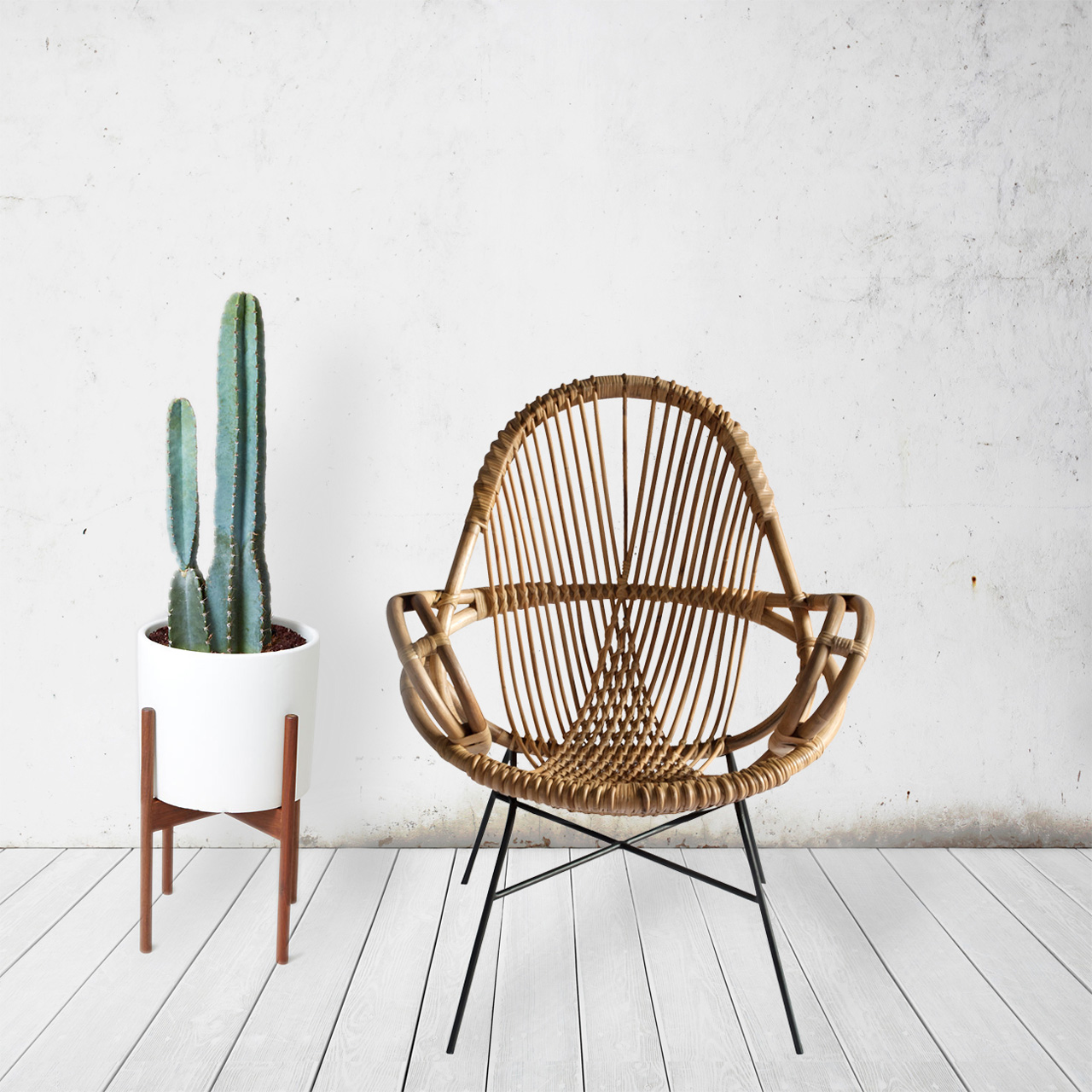 cactussen_interieur_huis_pinspiration