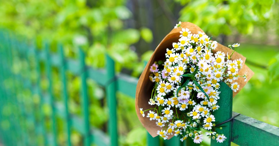 To do: leg eens een boeketje bloemen op straat