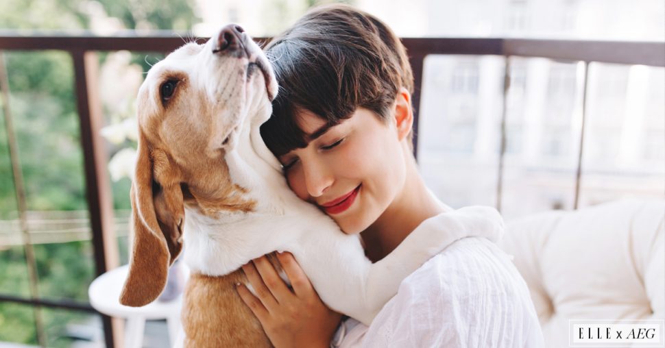 Dierenliefhebber? Zo raak je verlost van al dat haar