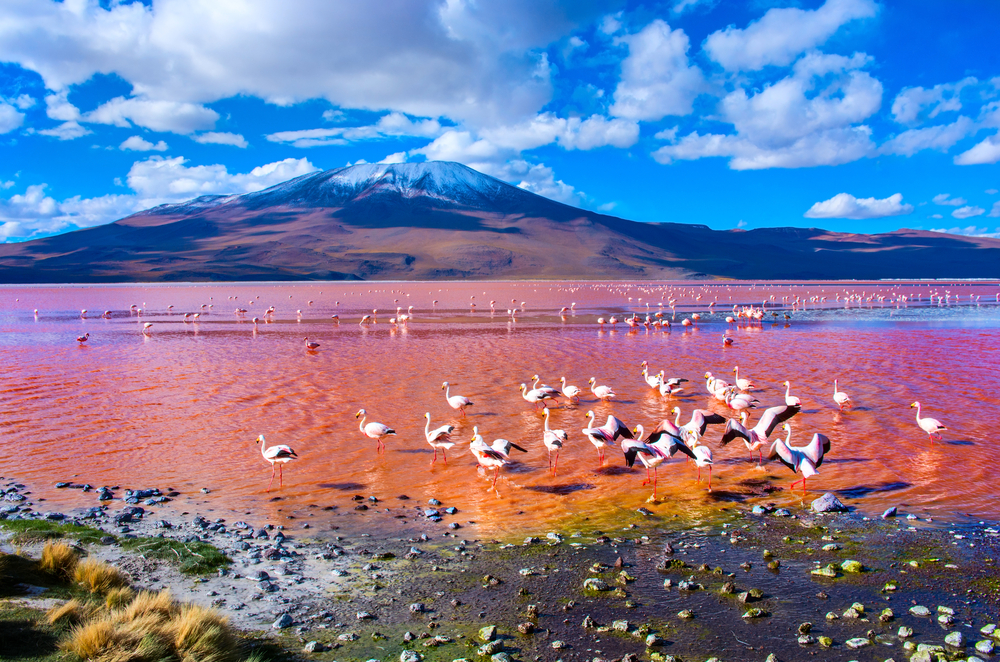 natuur, kleur, reis, bucket list, rainbow mountain, colorada, red sea, spiaggia rosa, prismatic spring, geiser