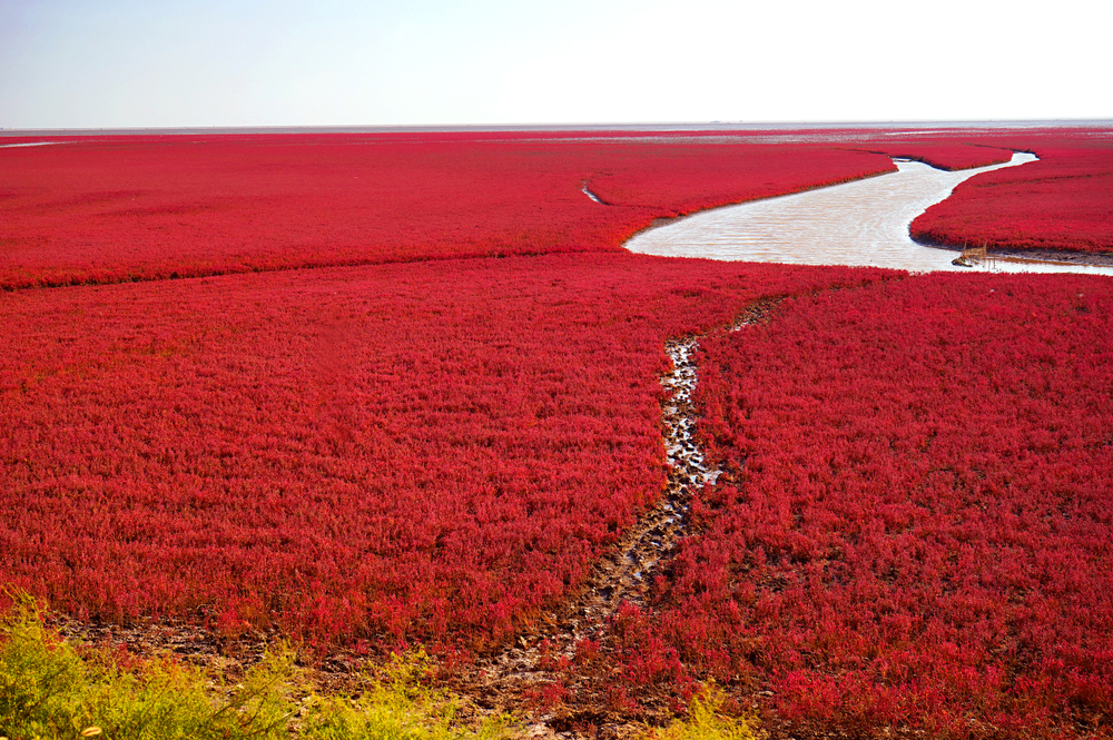 natuur, kleur, reis, bucket list, rainbow mountain, colorada, red sea, spiaggia rosa, prismatic spring, geiser