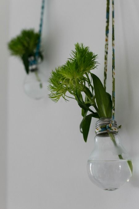 groen, planten, deco, interieur