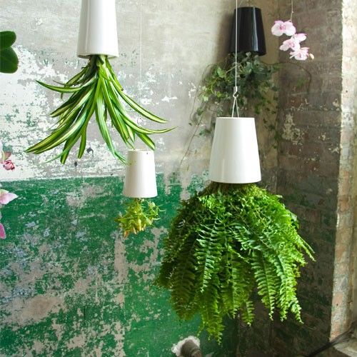 groen, planten, deco, interieur