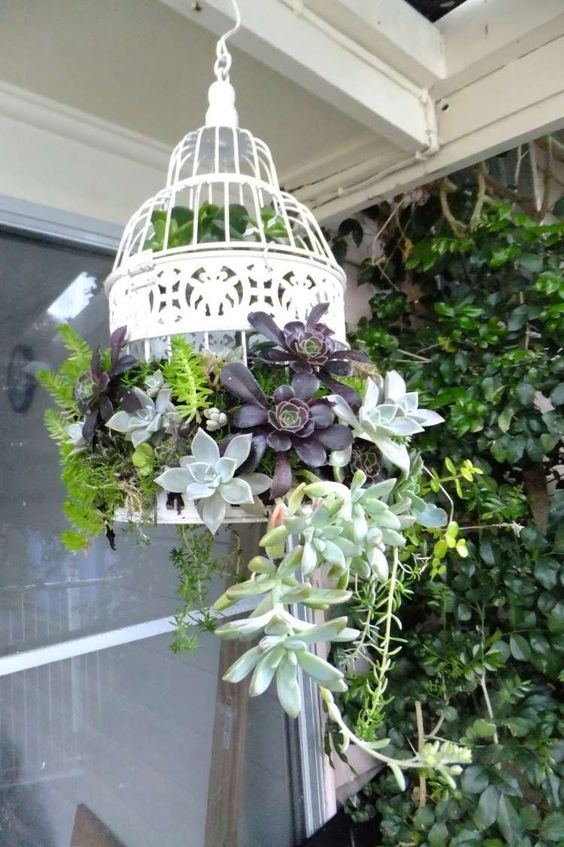 groen, planten, deco, interieur