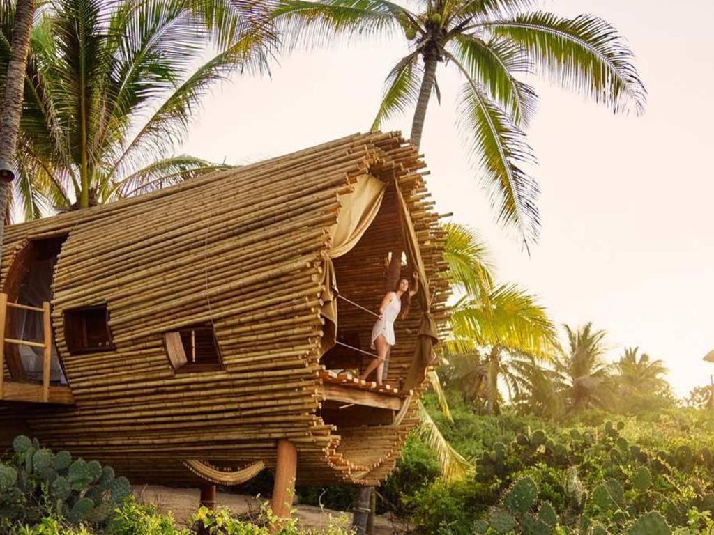 hotel, vakantie, reis, zomer, boomhut, treehouse, origineel, thailand, washington, firenze, australie