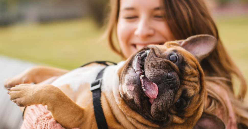 3 dierenboeken die je band met je viervoeter versterken