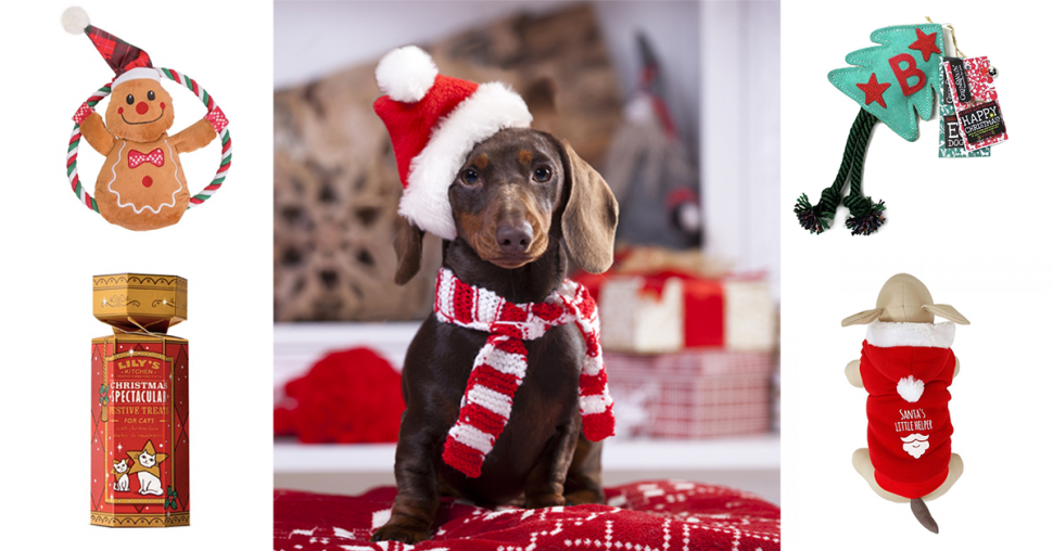 Kerstshopping: de allerleukste cadeautjes voor je huisdier