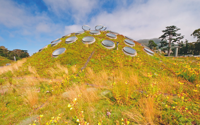 california academy of science