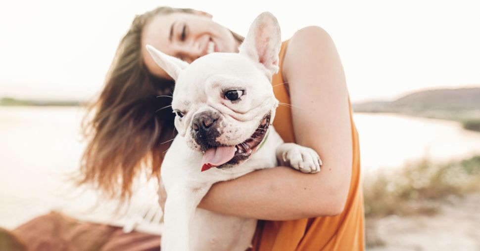 5 leuke activiteiten die je samen met je hond kan doen