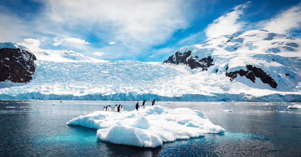 Homeward Bound Project: het belang van de impact van vrouwen op de planeet