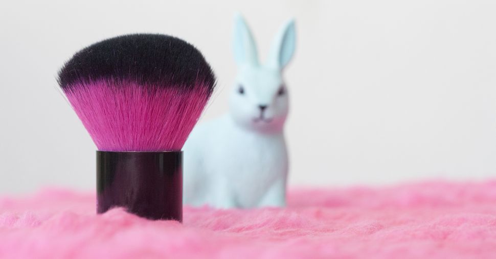 Cruelty-free: dit moet je weten over dierproeven in de cosmetica sector