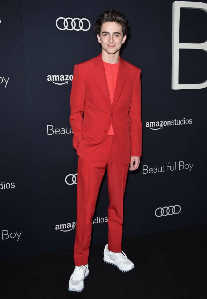 Timothée Chalamet stijl rode loper