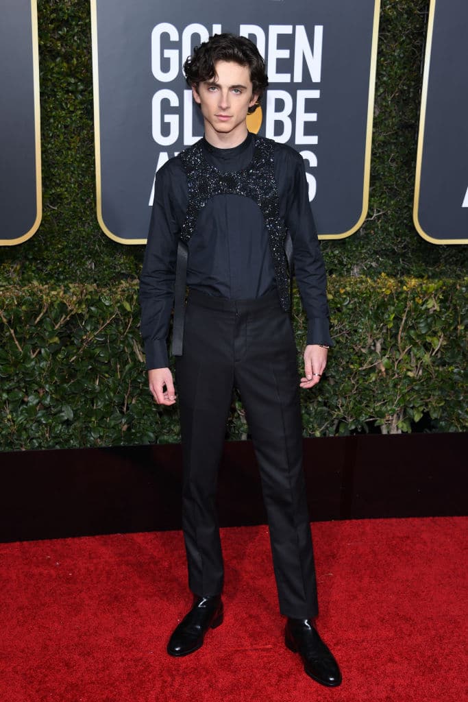 Timothée Chalamet stijl rode loper