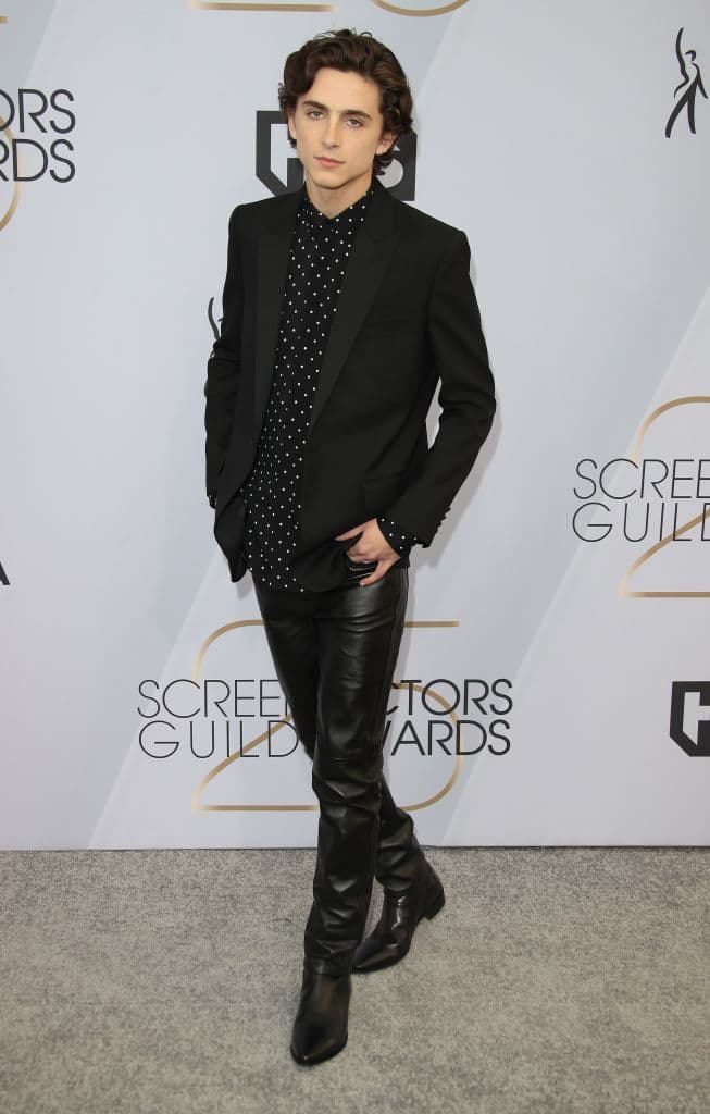 Timothée Chalamet stijl rode loper