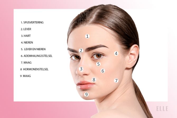 bijvoeglijk naamwoord Bevestigen Raap Face Mapping: de oorzaak van puistjes op elke plaats van je gezicht
