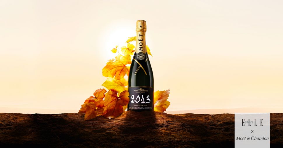 Moët & Chandon Grand Vintage 2013, het allerbeste van een uitzonderlijk wijnjaar