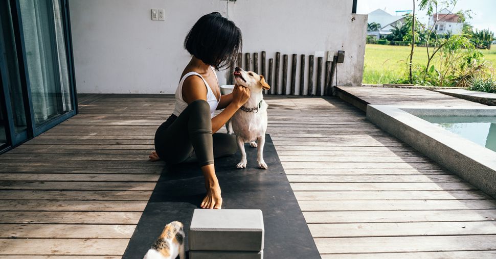 Puppy’s, paarden of geiten, ze kunnen allemaal je yoga-buddy worden